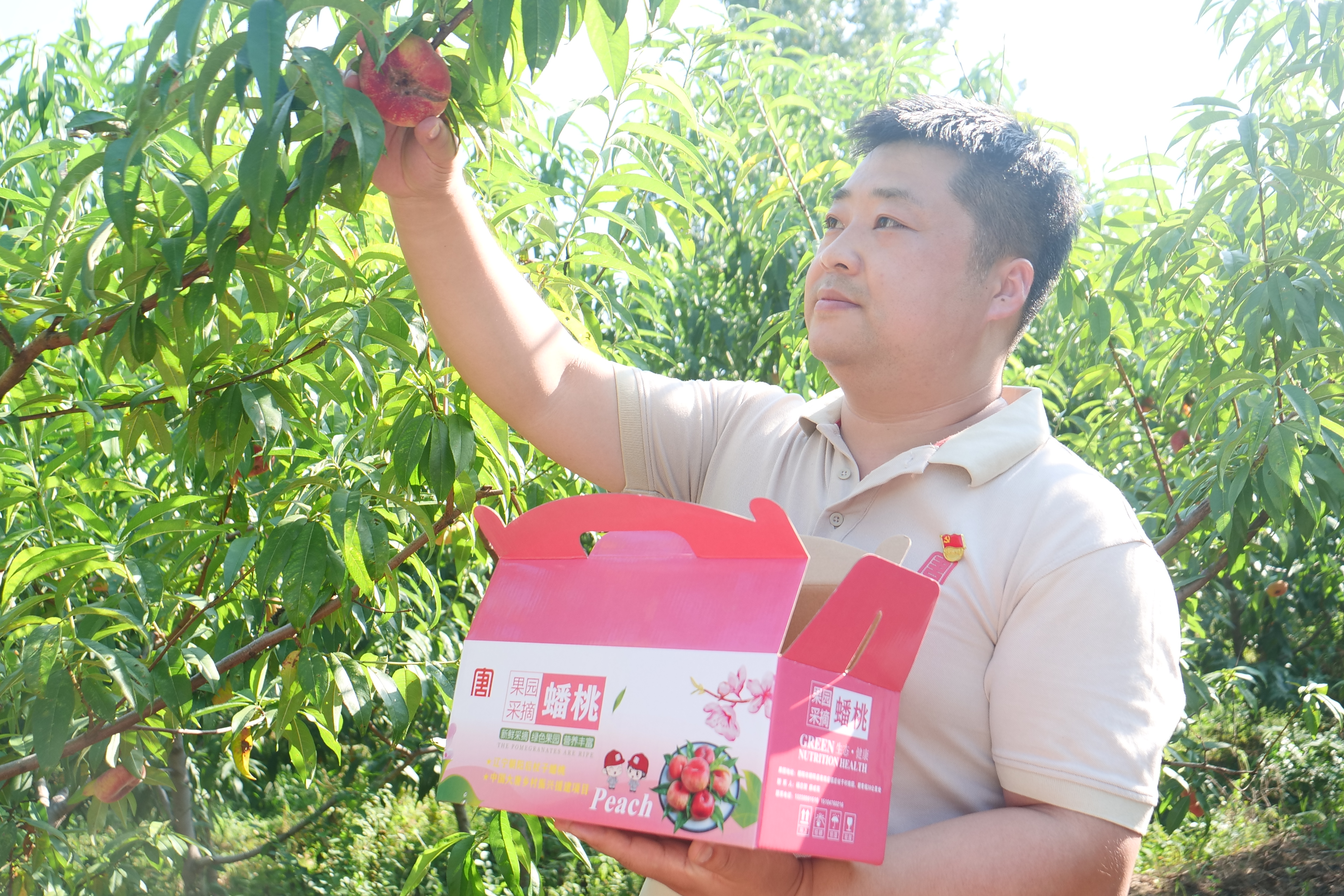 1692347415125007113.jpg 第一書(shū)記摘桃.jpg